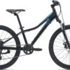 2024 Liv Enchant Disc 24"
