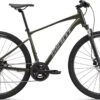 2024 Giant Roam Disc 3