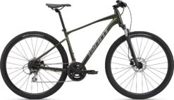2024 Giant Roam Disc 3