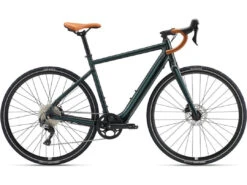 2024 Momentum Voya E+ 1