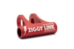 Forbidden Ziggy Link