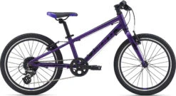 2021 Giant ARX 20" -Bicycle Equipment Store arx20 purple