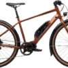 2021 Kona Dew-E 650B