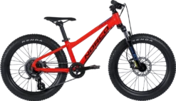 2021 Norco Fluid HT Plus 2.3 20"