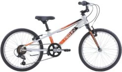 2021 Radius/Neo Neo Boys 20"